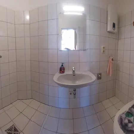 Wo Fledermaus Fliegt *